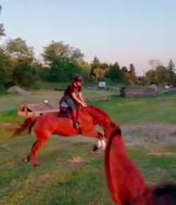 Kentucky Performance Products: ‘Oh Crap’ Monday