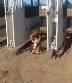 Total Saddle Fit Tuesday Video: Jockey (in) Training