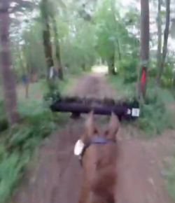 World Equestrian Brands Helmet Cam: Treasure Hunting