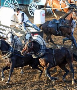 Performance of the Week: Mark Sutherland