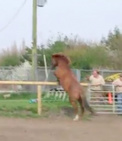 #TGIF: Leaving Work Behind