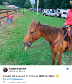 8 #EquestrianProblems According to Twitter