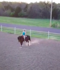 World Equestrian Brands Drone Cam: One Way to Look at Your Riding