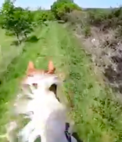 World Equestrian Brands Helmet Cam: The Scenic Route