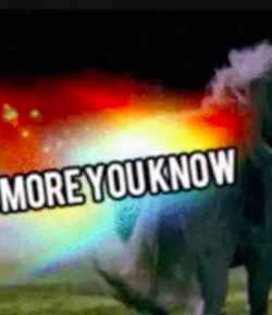 My Horse is My Professor: 4 Lessons My Horse Continues to Teach Me