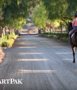 SmartPak Monday Morning Feed: Ask the Equine Nutritionist, Getting an Easy Keeper to Lose Weight