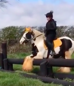 Kentucky Performance Products: ‘Oh Crap’ Monday