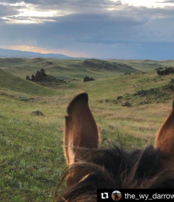 #goriding Grams of the Week