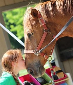 Time to Ride: Introducing Children to the Love of Horses
