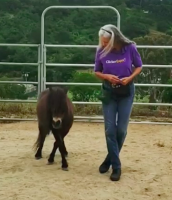 Thursday Video: Your Mini Is Your Mirror