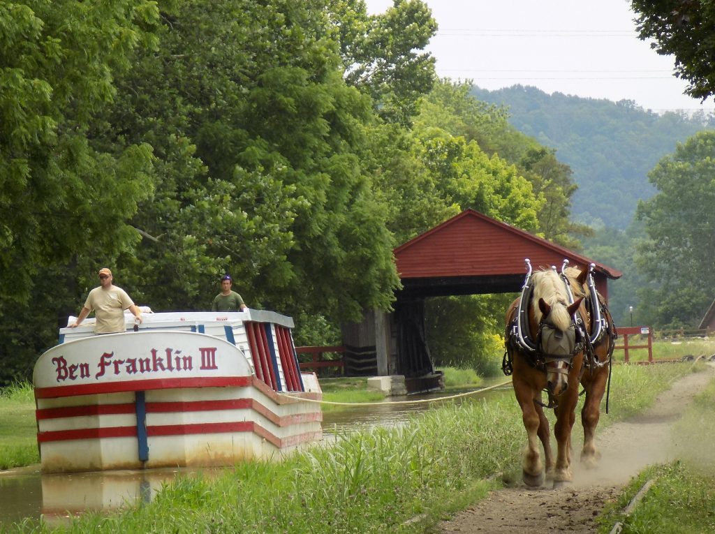 Joey and Jourdan Two Belgians Keeping History Alive HORSE NATION