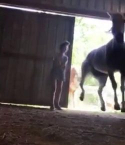 Total Saddle Fit Tuesday Video: One Mean Trick