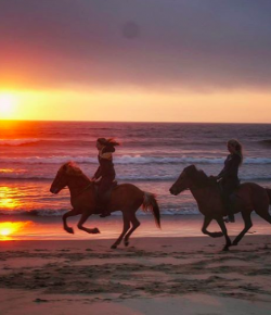 #goriding Grams of the Week