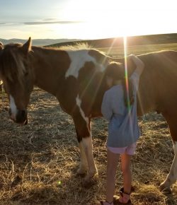 Standing Ovation by Ovation Riding: Janet Rose and Horse Haven Montana