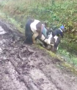 Kentucky Performance Products: ‘Oh Crap’ Monday