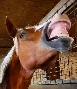 #goriding Grams of the Week