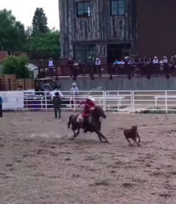 Performance of the Week: Jordan Jo Fabrizio