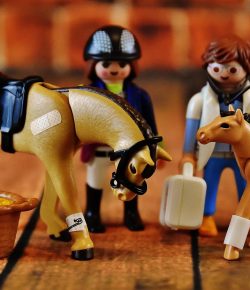 #TBT: Putting the PPE in Perspective