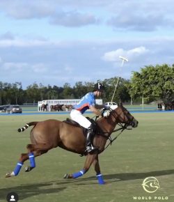 World Equestrian Brand Drone Cam: Polo All-Star Challenge