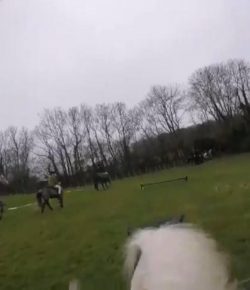 World Equestrian Brands Helmet Cam: Cinderella with the Aluminum Shoes