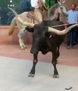 Kentucky Performance Products: ‘Oh Crap’ Monday