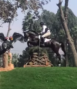 Performance of the Week: Boyd Martin