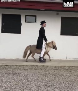 Tuesday Video: Riding on Wheels