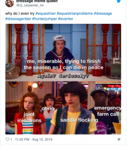 10 #EquestrianProblems According to Twitter