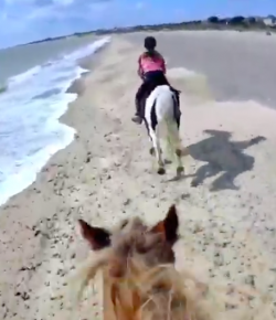 World Equestrian Brands Helmet Cam: Exhilarating Ride at Pakefield Beach