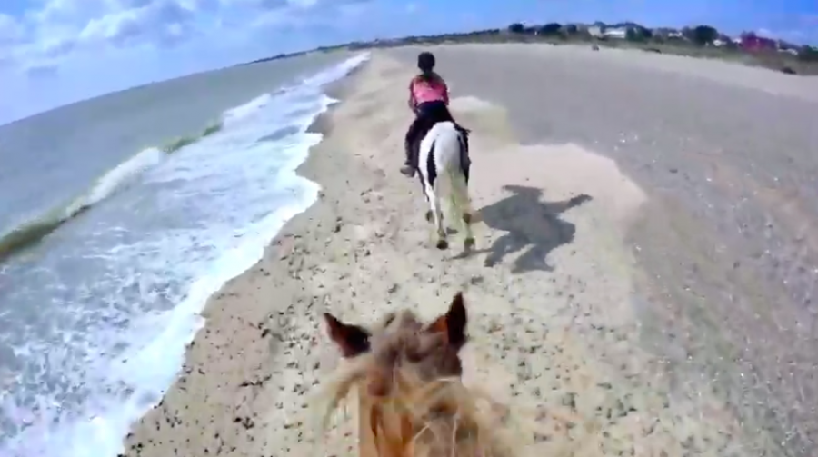 World Equestrian Brands Helmet Cam Exhilarating Ride at Pakefield