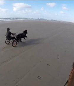 World Equestrian Brands Helmet Cam: Carting on the Beach