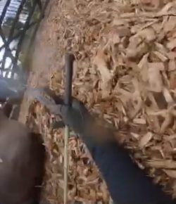 World Equestrian Brands Helmet Cam: Arena Wreck
