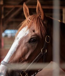 8 Warning Signs You’re in a Bad Boarding Situation