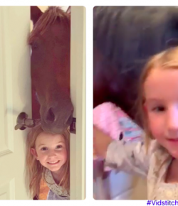 #TGIF, by Flexible Fit Equestrian: Tatum and Belle