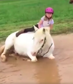 Kentucky Performance Products: ‘Oh Crap’ Monday