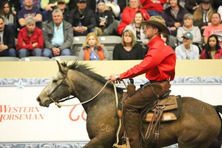 Road to the Horse Will Host the First Collegiate Colt Starting