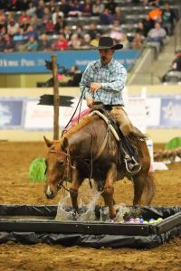 Road to the Horse Will Host the First Collegiate Colt Starting ...