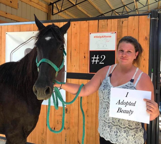 The Joy of New Homes for Auction Rescue Horses HORSE NATION