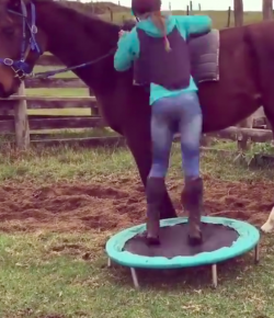 Thursday Video: Jumping Right Into — or Onto — Things