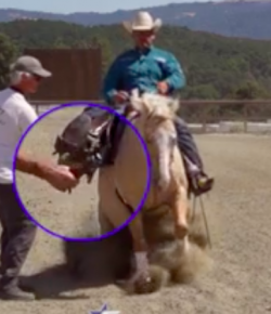 #TGIF, by Flexible Fit Equestrian: When You Can’t Find a Bottle Opener