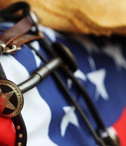 Standing Ovation by Ovation Riding: The Military Writers Society of America