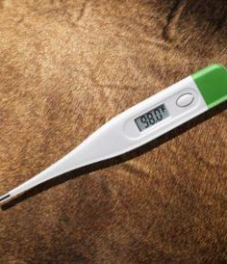 Kentucky Performance Products: Horse Vital Signs, Part 1