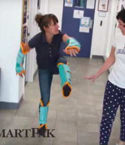 SmartPak Monday Morning Feed: If Horses Were People — Fly Season, Part 1