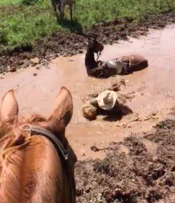 Kentucky Performance Products: ‘Oh Crap’ Monday