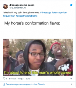 7 #EquestrianProblems According to Twitter