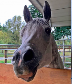 #goriding Grams of the Week