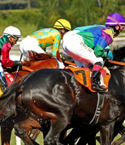 Thoroughbred Racing Industry Reaches a Pivotal Moment