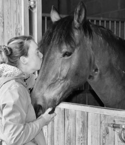The Beauty Behind Selling a Horse