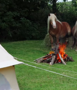 #TGIF, by Flexible Fit Equestrian: Glamping