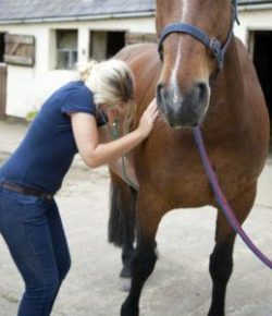 Kentucky Performance Products: Horse Vital Signs, Part 2